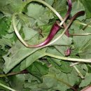 독천낭주골 이미지