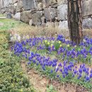 민들레 들꽃처럼 민박 | [추천]소양두베, 전주여행 전주소양카페 후기, 한옥마을말고 여기로!