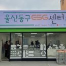 한국이에스지연구소