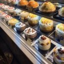 (주)한국비앤씨 | 다 날라가서 다시 쓰는 블로그 챌린지