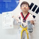 비송태권도 이미지