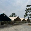 [용인 캠핑장] 나인힐스 후기(캠프닉, 아이들과 놀기 최적)