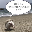 한국도로공사수원지사 | 고속도로 포트홀 사고 한국도로공사에 보상받은 후기