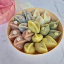 하남떡집