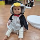 별샘어린이집 | 어린이집 기저귀 추천, 착용감 흡수력 만족한 하기스 맥스드라이