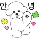 털로덮인 친구들 이미지