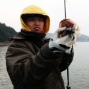 제이에스 모바일 이미지