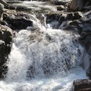 지리산 단풍비 이미지