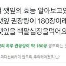 깻잎 하루 권장량 이미지