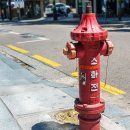 주정차-32 이미지