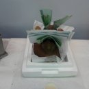 연호태권도장 이미지