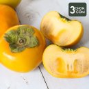 삼촌이네 농산 이미지