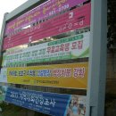 대반초교 Daum카페