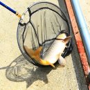 한터낚시터 이미지