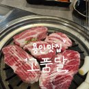 역북-15 | 용인역북맛집 고품달 내돈내산 방문후기