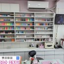 엘리스 손톱나라