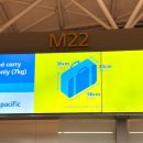 지연웨딩 | 세부퍼시픽항공 솔직후기 온라인체크인 좌석 수하물 기내식 탑승지연 할인예약방법