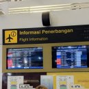 434 | 발리 출국 면세점 및 KE434후기