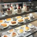 차고치는마을2호점 | 안양 동편마을 카페거리 리필가능한 그라비에 2호점