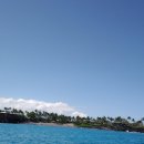 에이폰드(A-pond) | 하와이 돌고래 와칭 투어 실패 닥터피쉬 연못 후기