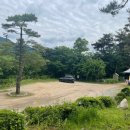 페트라숯불구이 이미지