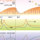 호랑이한의원 이미지