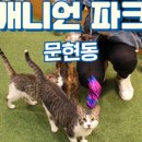 캐니언파크