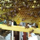 한라슈퍼 이미지