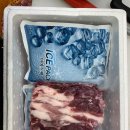 참뽈살