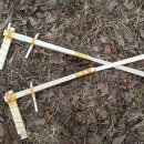 독립기념관캠핑장 이미지