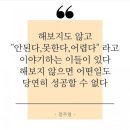 보라인셀덤 이미지