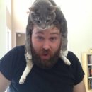 고양이 모자 이미지