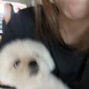 와락 네이버블로그