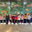 사교농장 네이버블로그