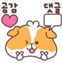 와일드복싱짐 안양관 이미지