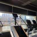 인투더짐 이미지