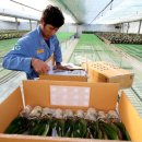 박진규농장 이미지