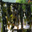 가마솥에누룽지 이미지