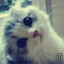 희망대로 이미지