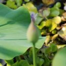 춘천기계공업고등학교 이미지