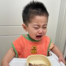 민재네대추 | 복날맞이 닭백숙 만들기 아기백숙이유식 아기닭다리(엄나무,오가피나무)