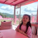 엽이오락실 이미지