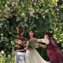 헤이브 | [헤이브] 라망드비 스튜디오 웨딩촬영 헤어변형 헤이브 후기 !