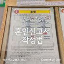 오정구청 | [결혼일기] 첫 임신 후 혼인신고하기! 부천 오정구청 혼인신고 하는 법 작성하는 방법