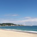 관성솔밭해변 이미지