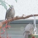 바이오공인중개사사무소 이미지