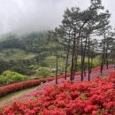 큰재목장가든 이미지