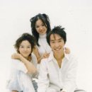 쌈지비디오 이미지