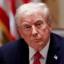 트럼프, 레이건 광고 '적대적 행위'에 대한 분노가 끓어오르자 캐나다에 대한 관세 10% 인상 발표 이미지