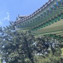 언택트세이프(B) 이미지